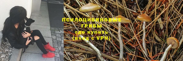 apvp Арсеньев