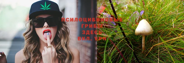 apvp Арсеньев