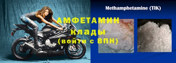 трава Пересвет