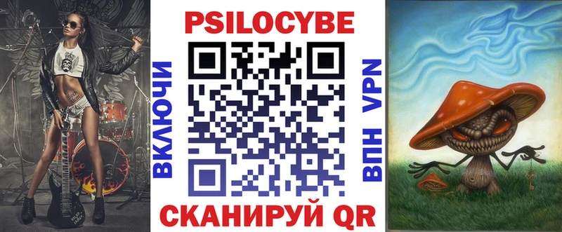 закладка  Судак  Галлюциногенные грибы Psilocybe 